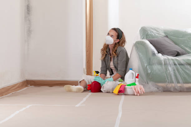 Reliable Crawl Space Mold Remediation contractor in Barnesville, GA by 24 Hour Mold Removal