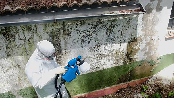 Top rated local Crawl Space Mold Remediation specialists in Barnesville, GA